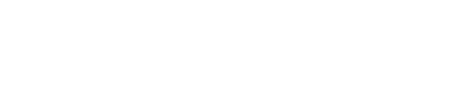 Caroli Kart